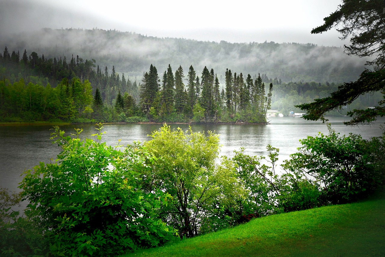 Climate Change and the Escalation of Tick-borne Diseases